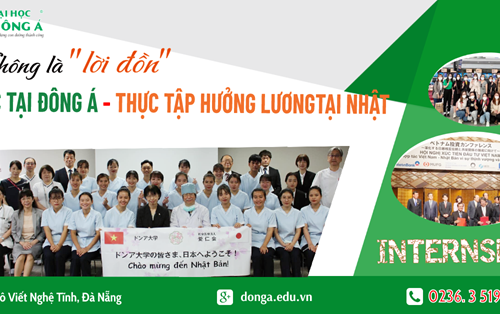 Học tại Đông Á, thực tập tại Nhật 